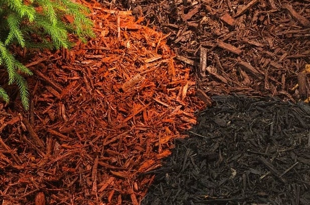 new mulch install colors